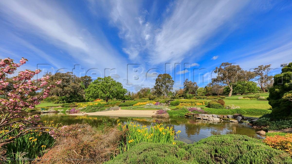 Peter Bellingham Photography Japanese Garden - Cowra